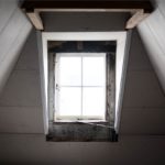 attic space with window