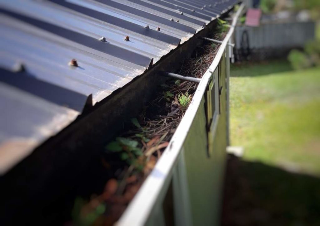 Gutter full of debris found on inspection