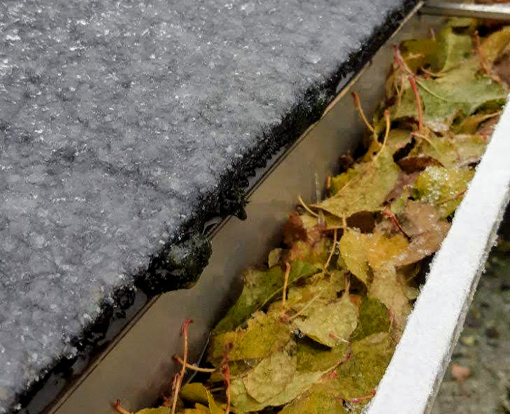 leaves in gutter  found during inspection