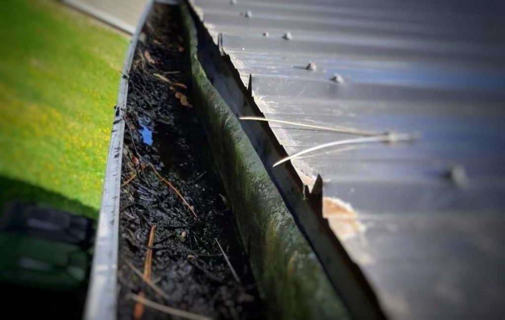 Charlottetown Home With Debris filled Gutters