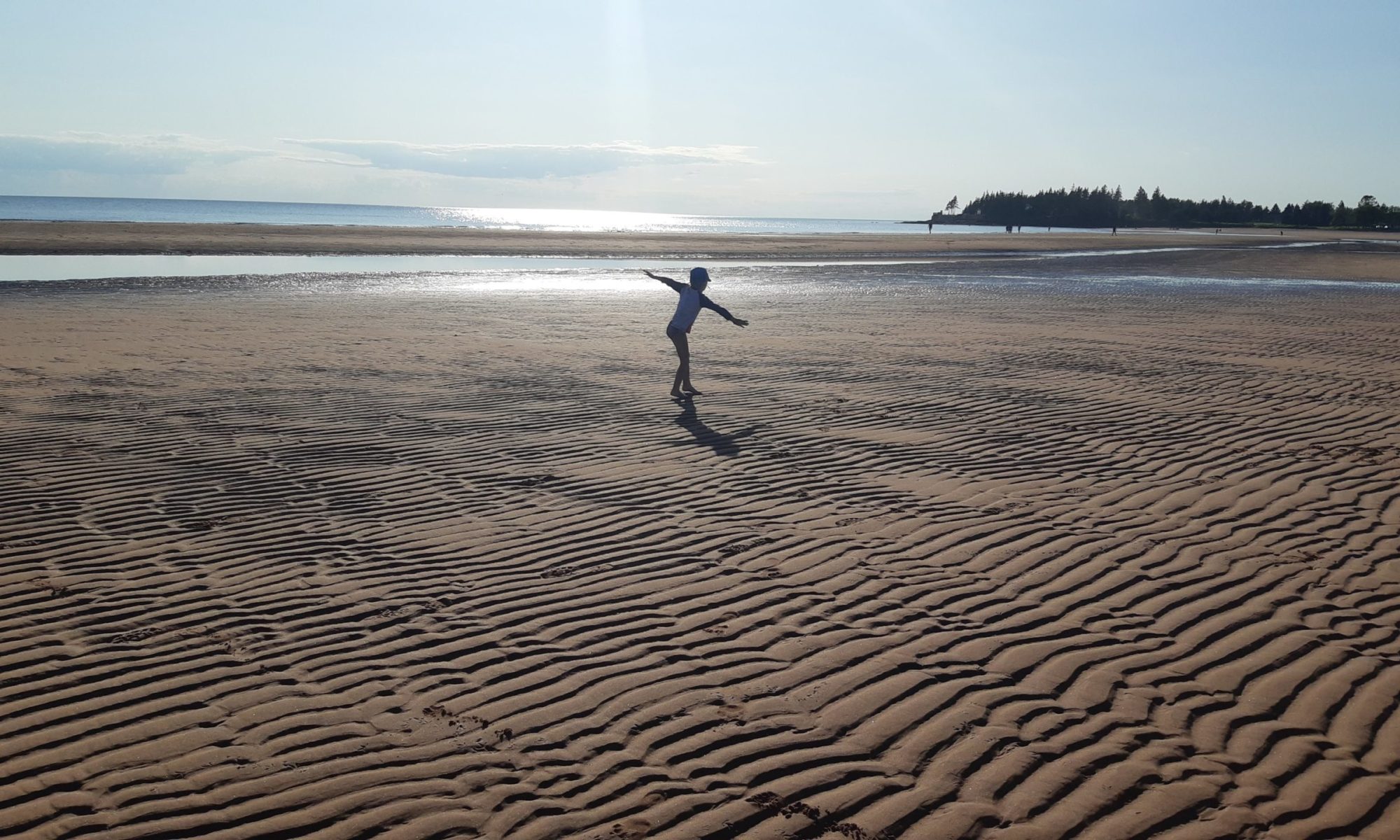 Dunn Right Inspections